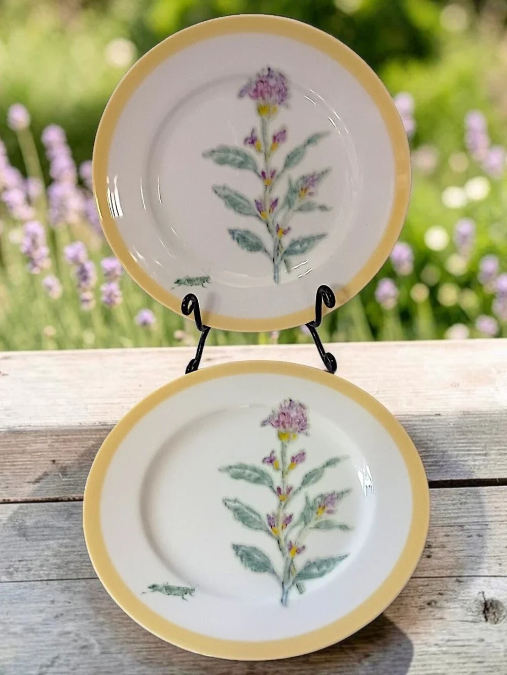 2 Williams Sonoma Flowering Herbs Salad Plates Purple Herb Flowers Grasshopper